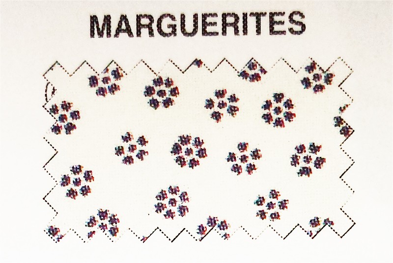 Marguerites